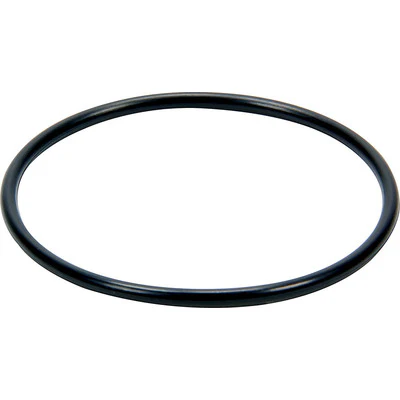 Legends Fuel Cell Cap Upgrade-Replacement O-Ring ONLY