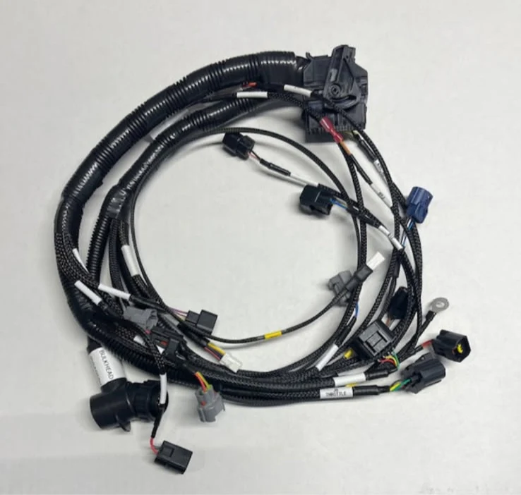 Legends INEX Complete Digital Dash/AIM ECU/Engine Wiring Harness Package - Image 3